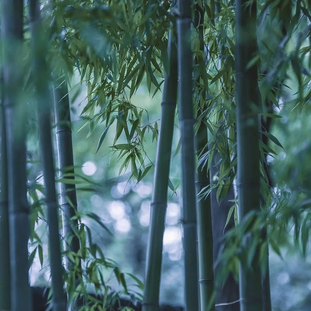 質感?原生石系列 | 1200×1800mm密縫連紋，開創無限世界(圖19)